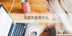 龙盘凤盘是什么