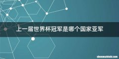 上一届世界杯冠军是哪个国家亚军