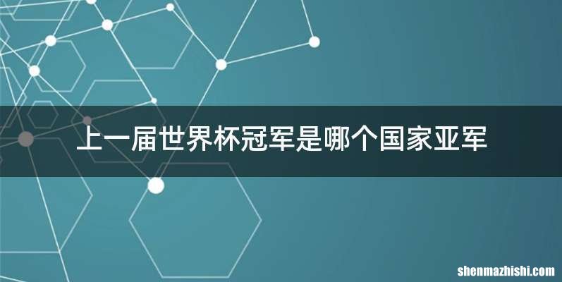 上一届世界杯冠军是哪个国家亚军