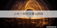 小米11如何设置4g网络