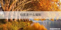 校医是什么编制