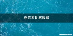 迷你罗比赛数据