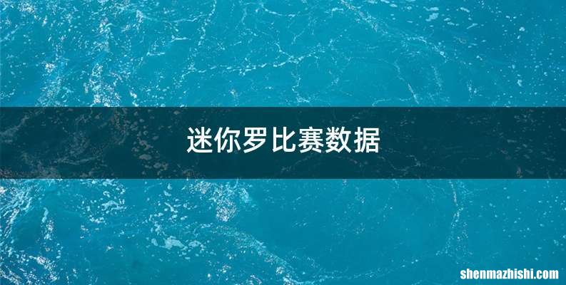 迷你罗比赛数据