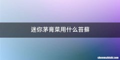 迷你茅膏菜用什么苔藓
