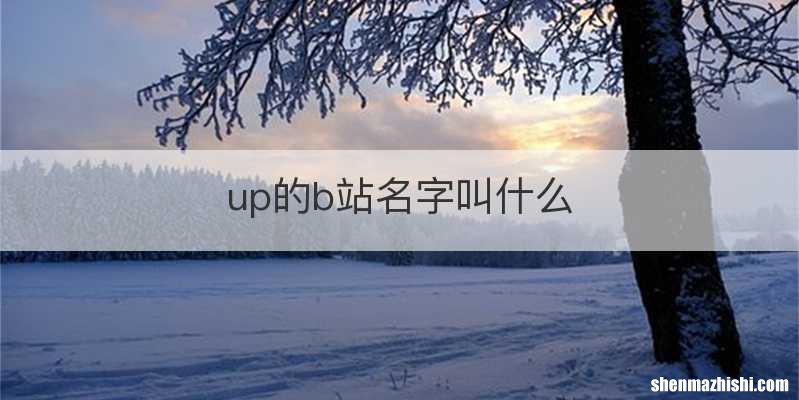 up的b站名字叫什么