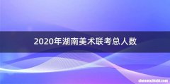 2020年湖南美术联考总人数