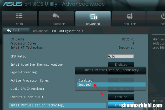 管理程序 如何在BIOS/UEFI中启用虚拟化