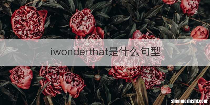 iwonderthat是什么句型