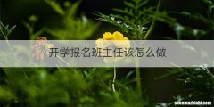 开学报名班主任该怎么做