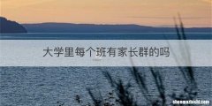 大学里每个班有家长群的吗