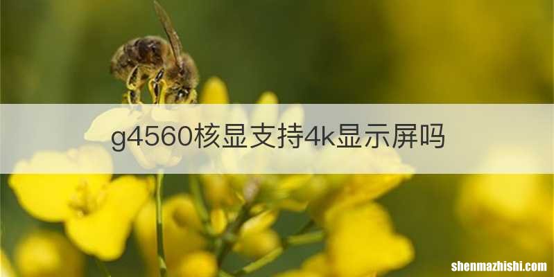 g4560核显支持4k显示屏吗