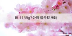 i5 1155g7处理器是标压吗
