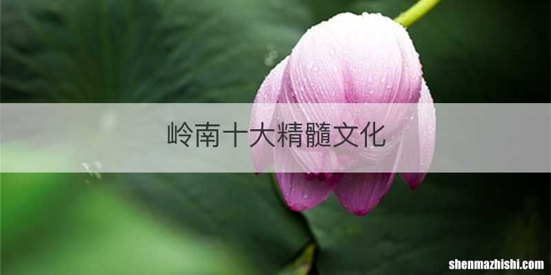 岭南十大精髓文化