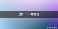漂什么天涯成语