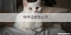 转学证明怎么开