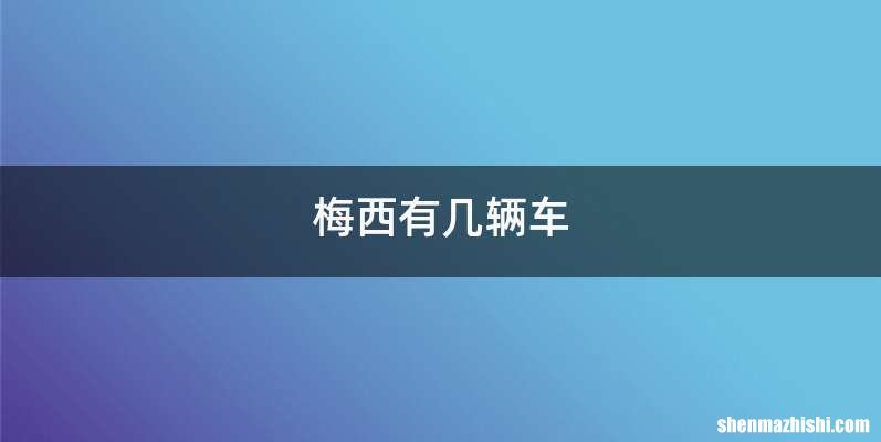 梅西有几辆车