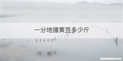 一分地播黄豆多少斤