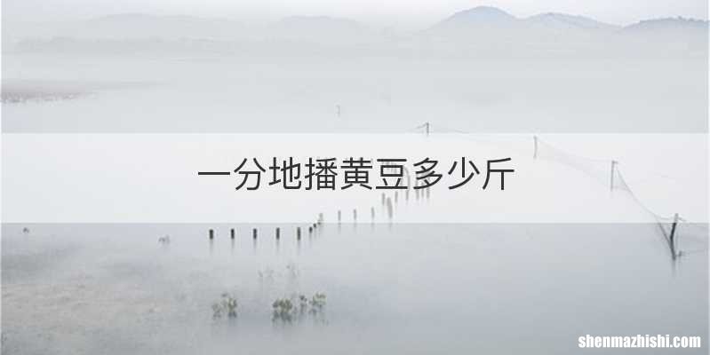 一分地播黄豆多少斤