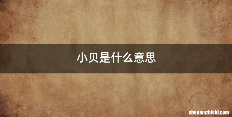 小贝是什么意思