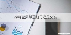 神奇宝贝孵蛋随母还是父亲