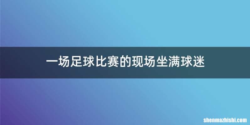 一场足球比赛的现场坐满球迷