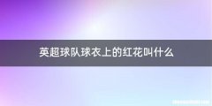 英超球队球衣上的红花叫什么