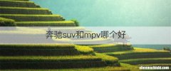 奔驰suv和mpv哪个好