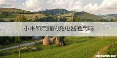 小米和荣耀的充电器通用吗