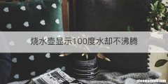 烧水壶显示100度水却不沸腾