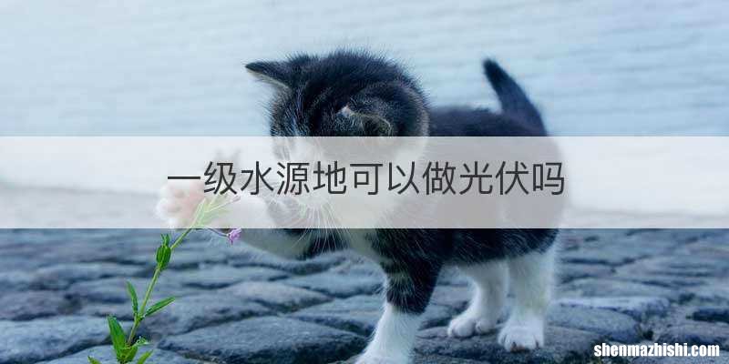 一级水源地可以做光伏吗