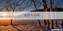 光伏人介绍