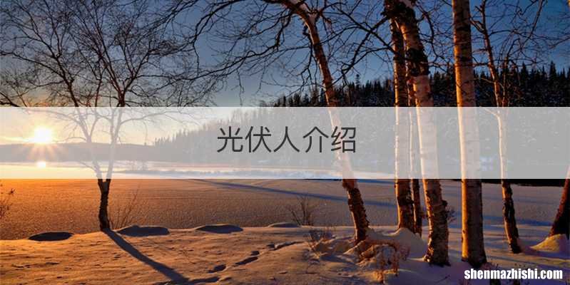 光伏人介绍