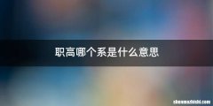 职高哪个系是什么意思