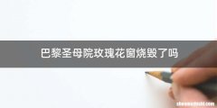 巴黎圣母院玫瑰花窗烧毁了吗