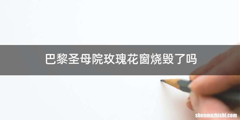 巴黎圣母院玫瑰花窗烧毁了吗