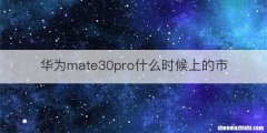 华为mate30pro什么时候上的市