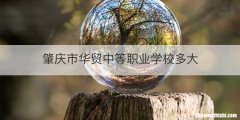 肇庆市华贸中等职业学校多大