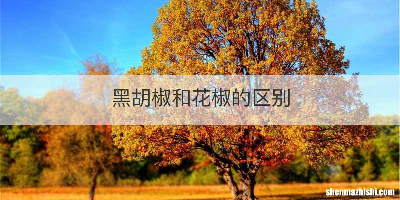 黑胡椒和花椒的区别