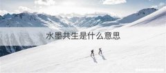 水墨共生是什么意思