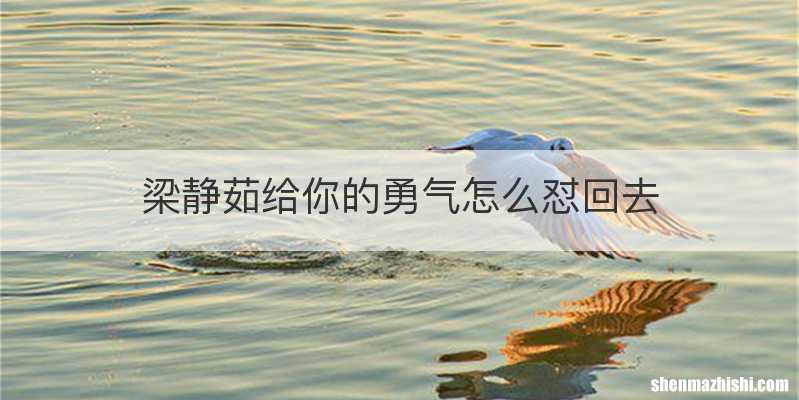 梁静茹给你的勇气怎么怼回去