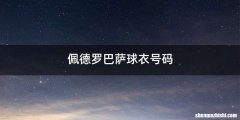 佩德罗巴萨球衣号码