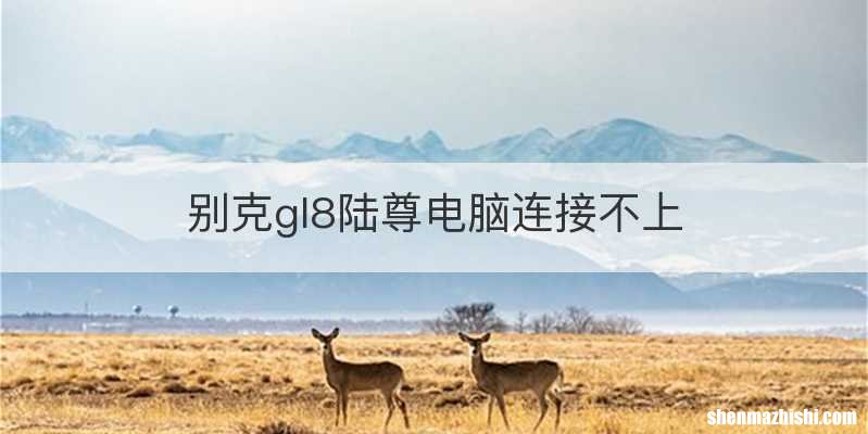 别克gl8陆尊电脑连接不上
