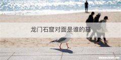 龙门石窟对面是谁的墓