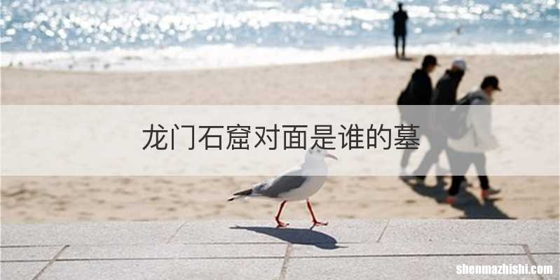 龙门石窟对面是谁的墓