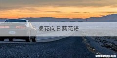 棉花向日葵花语