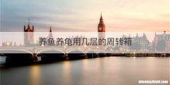 养鱼养龟用几层的周转箱