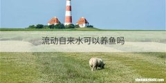 流动自来水可以养鱼吗
