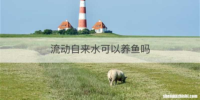 流动自来水可以养鱼吗