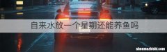 自来水放一个星期还能养鱼吗