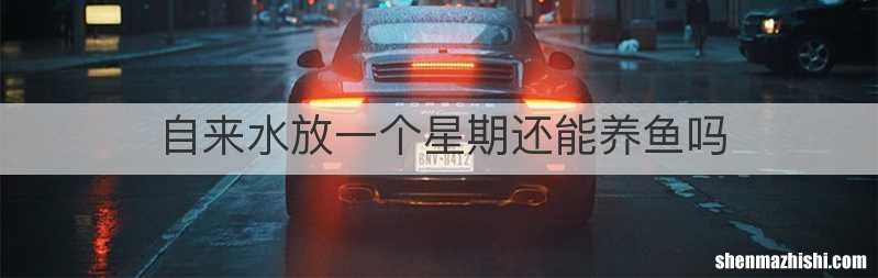 自来水放一个星期还能养鱼吗